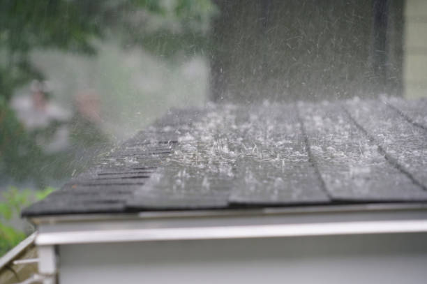 Best Roof Insulation Installation  in Allegan, MI