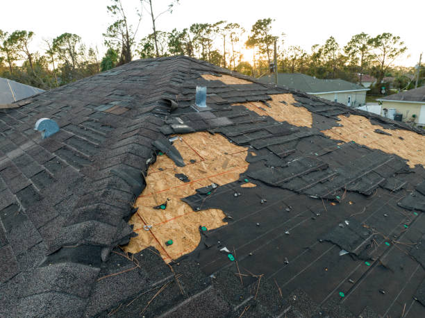 Best Roof Ventilation Installation  in Allegan, MI