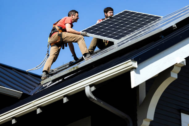 Best Storm Damage Roof Repair  in Allegan, MI