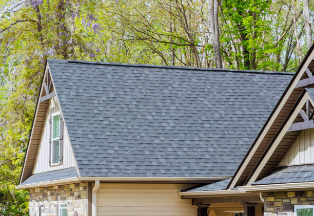 Best Roof Coating and Sealing  in Allegan, MI