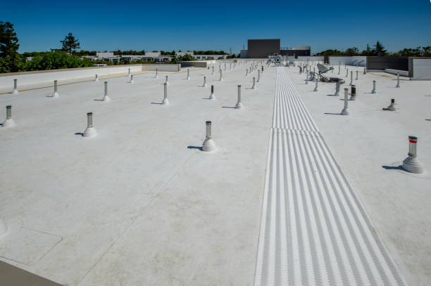 Best Roof Maintenance and Cleaning  in Allegan, MI